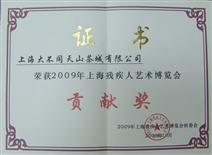 2009年上海市残疾人艺术博览会贡献奖